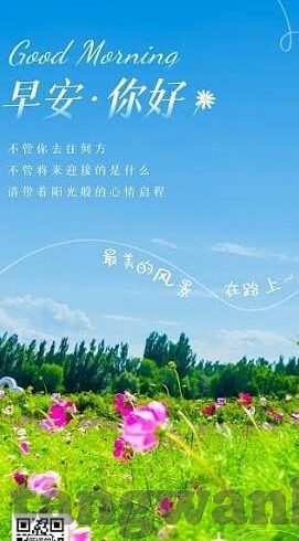 抖音大象传媒app下载-抖音大象传媒，探索短视频娱乐新风尚